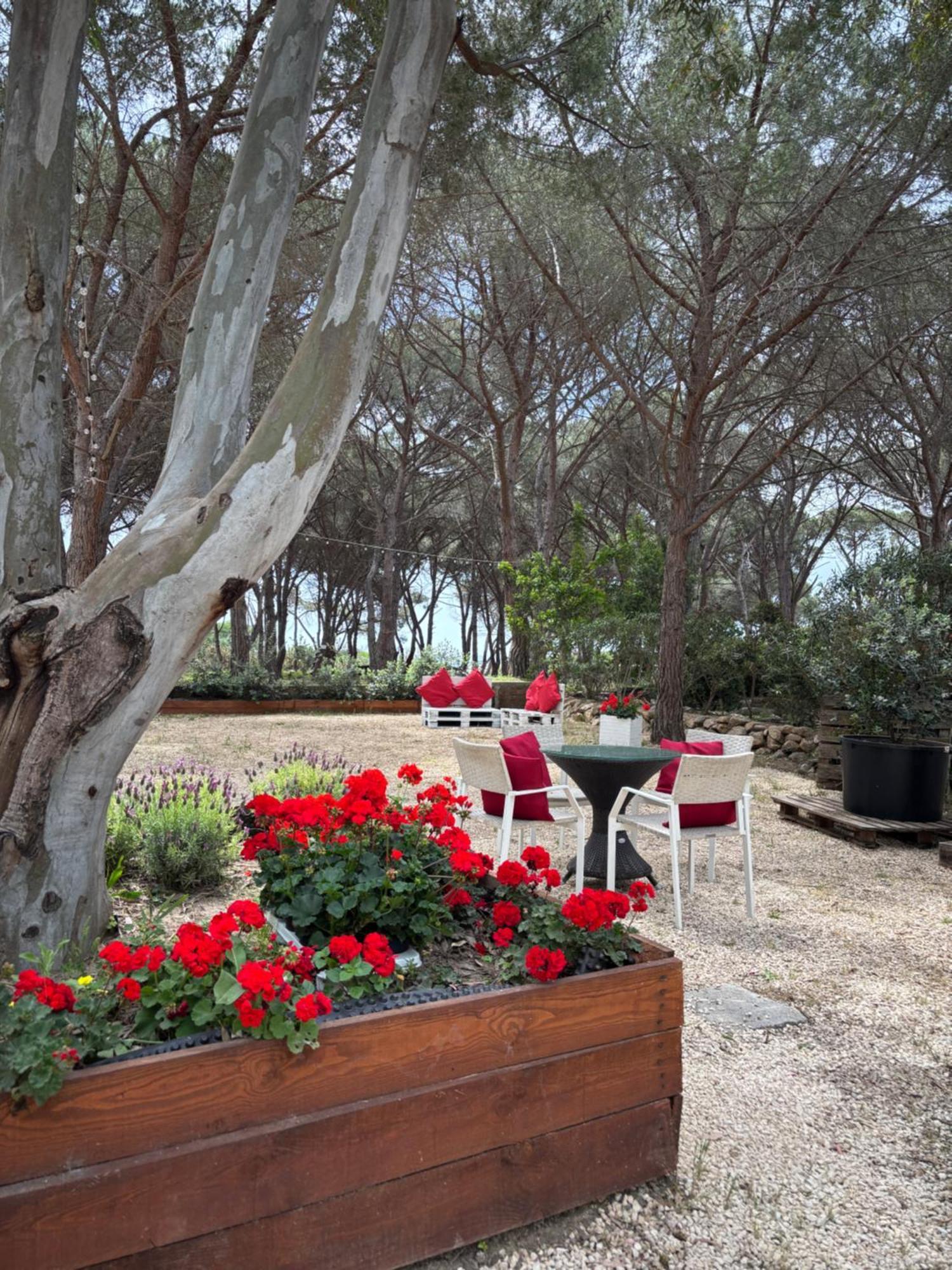 Camping Village Flumendosa Santa Margherita di Pula Luaran gambar